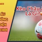 Kèo châu Âu NOHU90